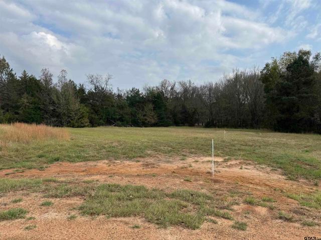 Land for sale in Franklin, Texas