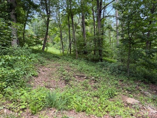 Land for sale in Haywood, North Carolina