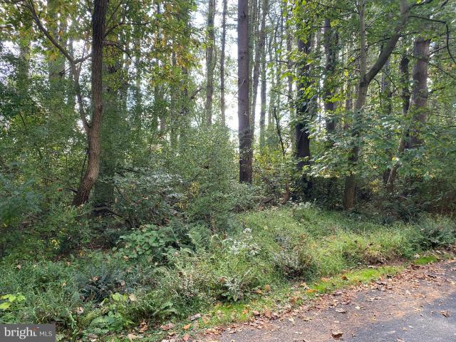 Land for sale in Kirkwood, Pennsylvania