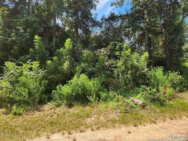 Land for sale in Grimes, Texas