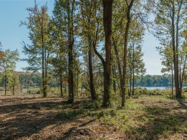 Land for sale in Wood, Texas