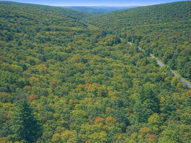 Land for sale in Shenandoah County, Virginia