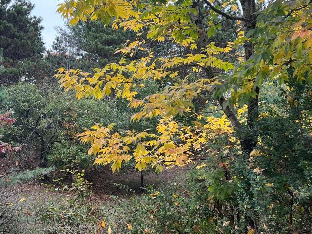 Land for sale in Michigan