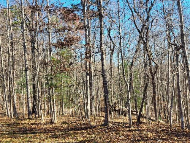 Land for sale in Tennessee