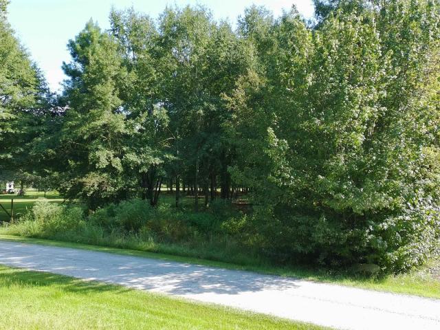 Land for sale in Centre, Alabama