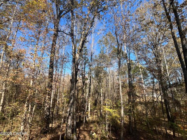 Land for sale in Tennessee