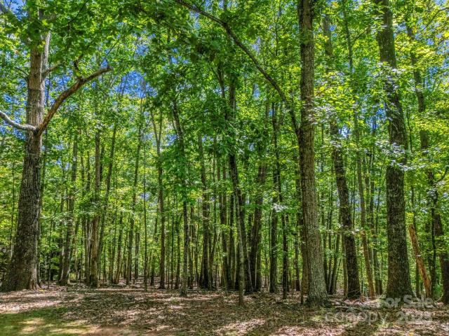 Land for sale in Columbus, North Carolina