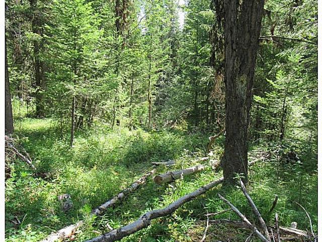 Land for sale in British Columbia
