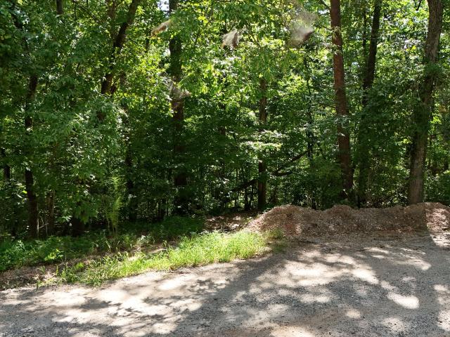 Land for sale in Clarkesville, Habersham County
