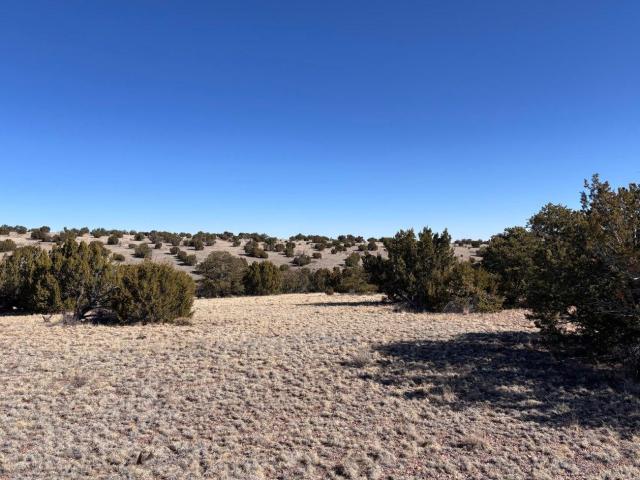 Land for sale in Magdalena, New Mexico