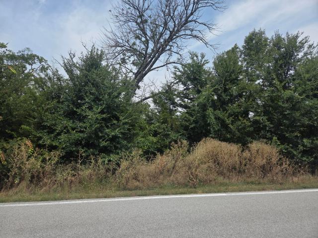 Land for sale in Stone, Missouri