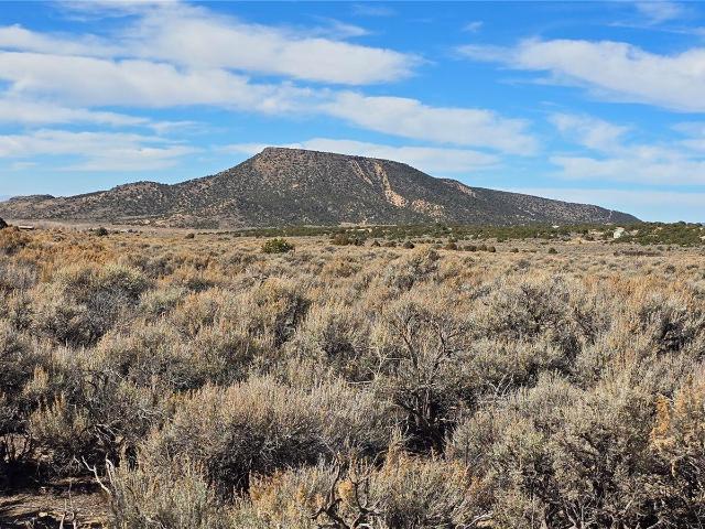 Land for sale in Fort Garland, Colorado