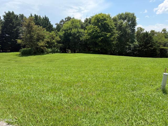 Land for sale in Tennessee
