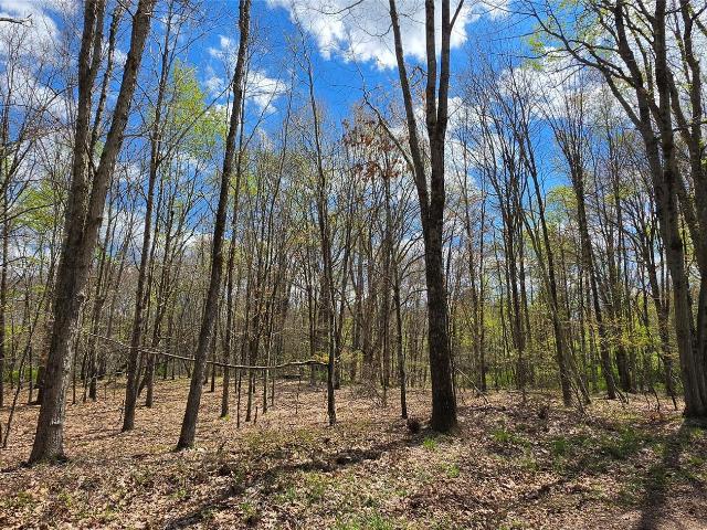 Land for sale in Callicoon, New York