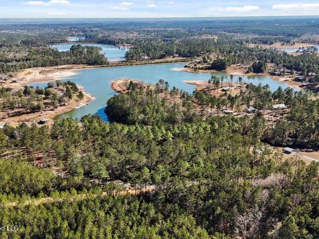 Land for sale in Leakesville, Mississippi