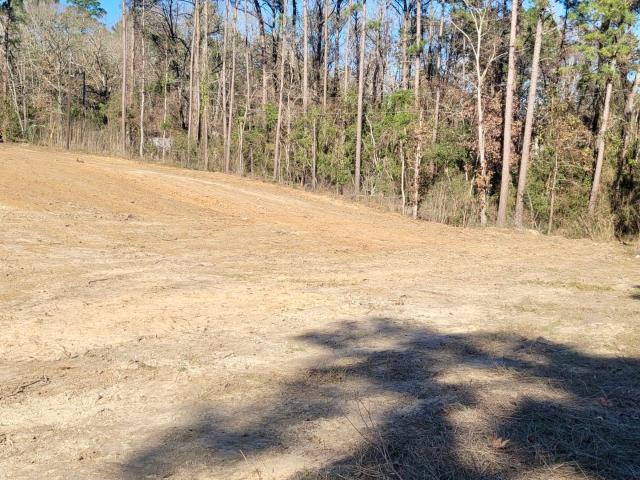Land for sale in Polk, Texas