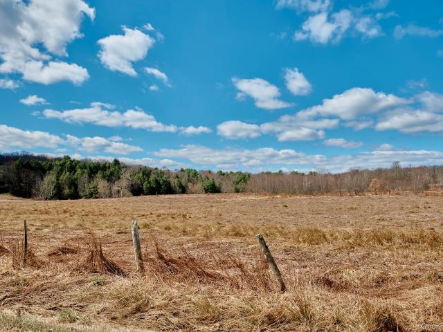Land for sale in Callicoon, New York