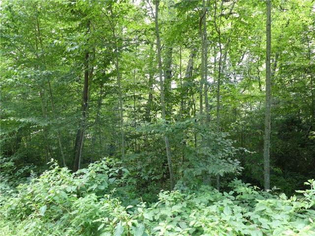 Land for sale in Avery, North Carolina