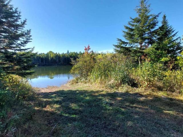 Land for sale in Cleveland, Nova Scotia