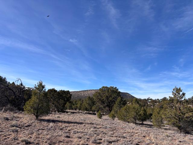 Land for sale in Catron, New Mexico