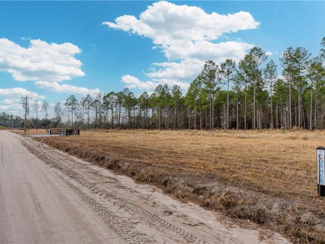 Land for sale in Brooklet, Georgia