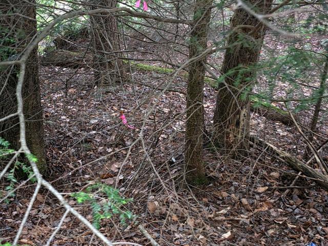 Land for sale in Sullivan, Pennsylvania
