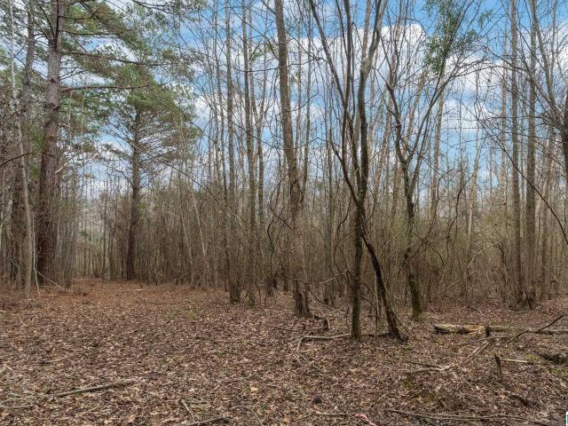 Land for sale in Berry, Tuscaloosa County