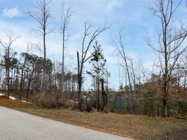 Land for sale in West Union, South Carolina