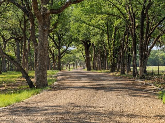 Land for sale in Bosque, Texas