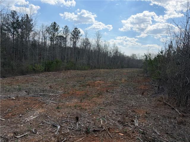 Land for sale in Pendleton, South Carolina
