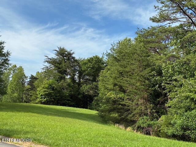 Land for sale in Bridgeview Hills - Riverview, Dandridge