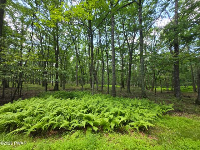 Land for sale in Beach Lake, Pennsylvania