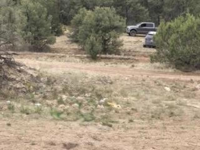 Land for sale in Villanueva, New Mexico