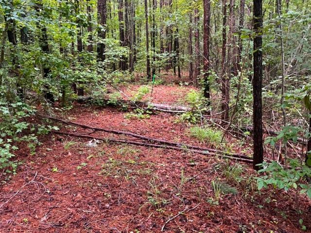 Land for sale in Margaret, Alabama