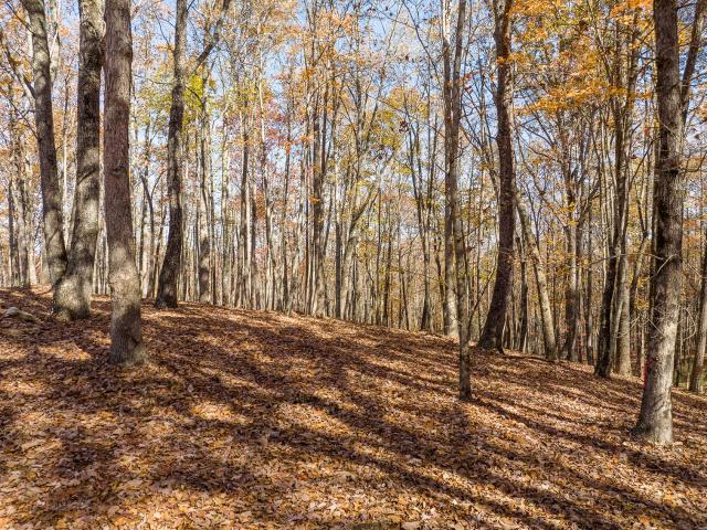 Property for sale in Gilmer, Georgia