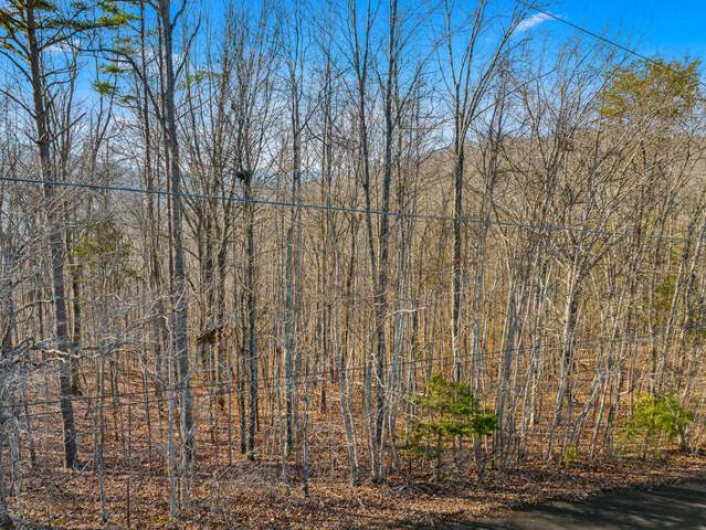 Land for sale in Tennessee
