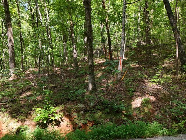 Land for sale in Clarkesville, Georgia