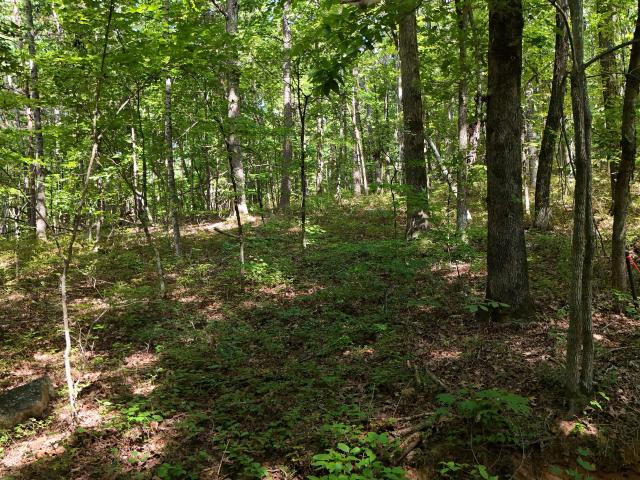 Land for sale in Clarkesville, Habersham County