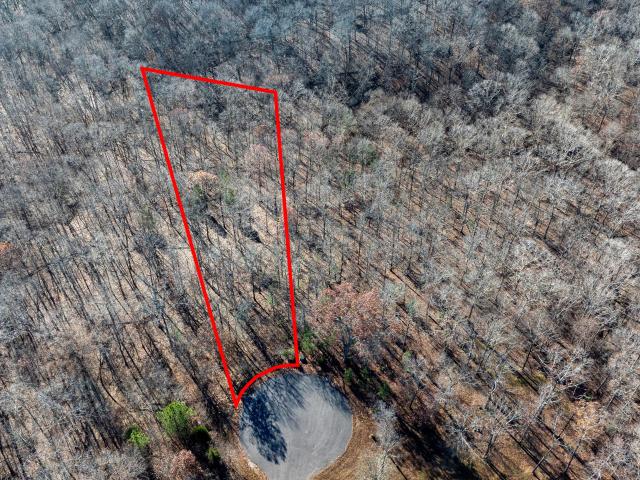 Land for sale in Murray, Kentucky