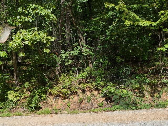 Land for sale in Clarkesville, Habersham County