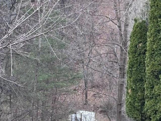 Land for sale in Virginia