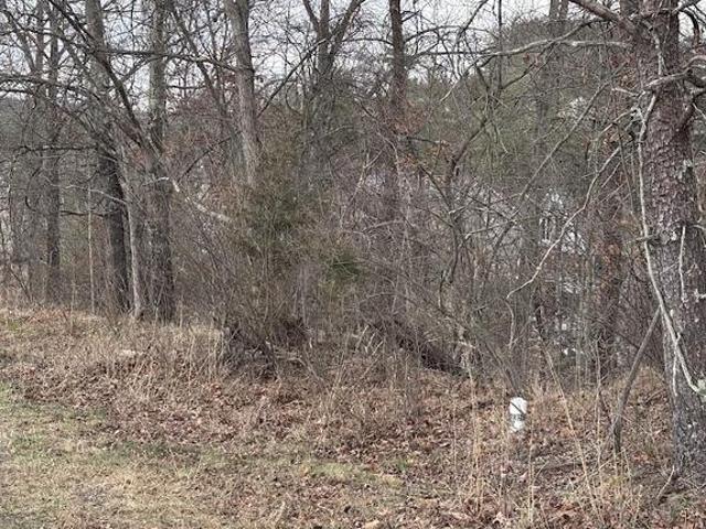 Land for sale in Virginia