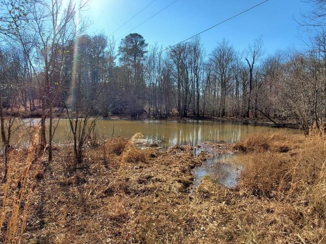 Land for sale in Jackson, Georgia