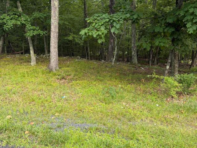 Land for sale in Dingmans Ferry, Pennsylvania