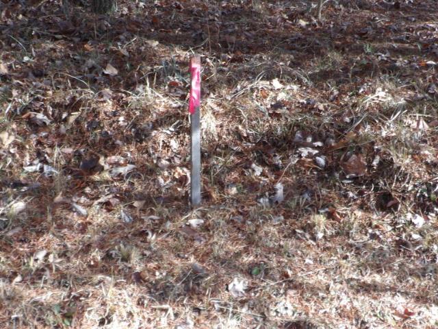 Land for sale in Tennessee