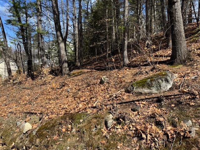 Land for sale in New Hampshire