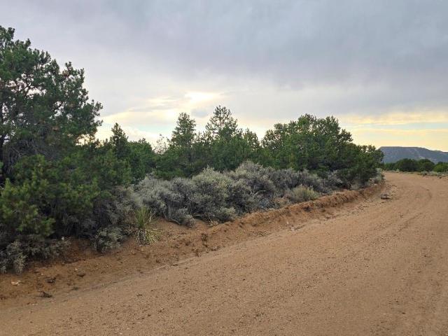 Land for sale in Fort Garland, Colorado