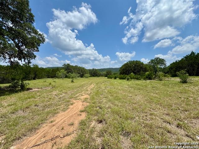 Land for sale in Mico