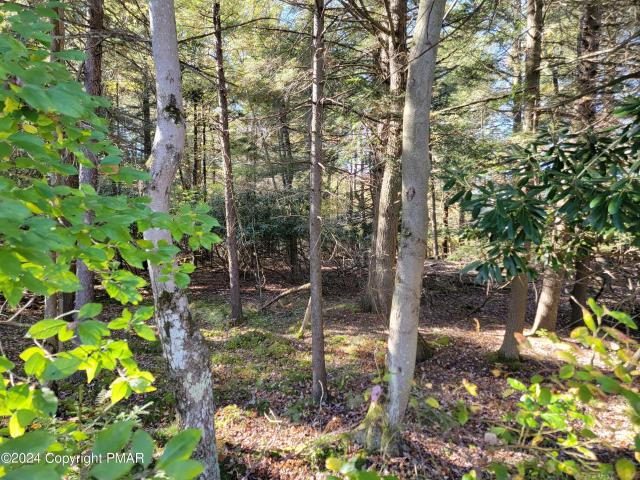 Land for sale in Gouldsboro, Lehigh Township