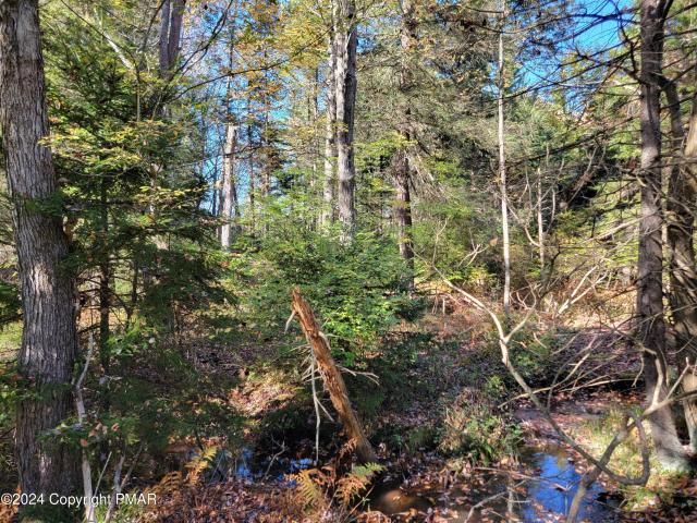 Land for sale in Newfoundland, Pennsylvania